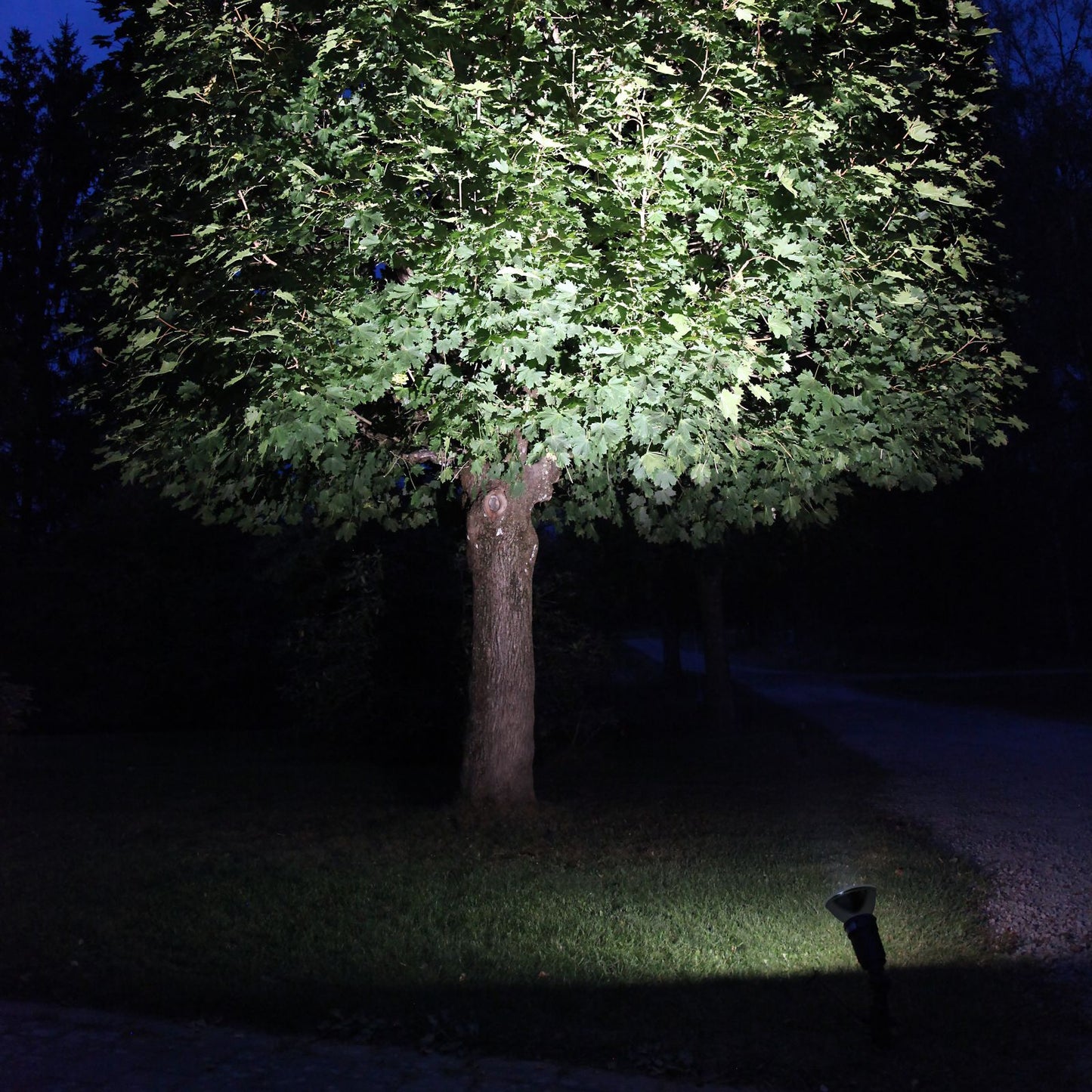 led-lampa-e27-par38-spotlight-outdoor-356-81