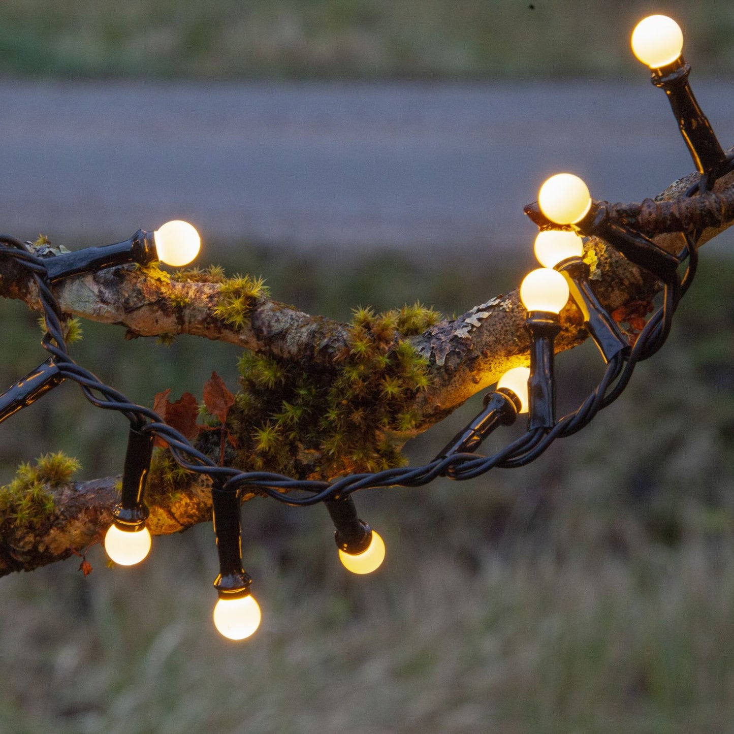 ljusslinga-berry-mini-472-50