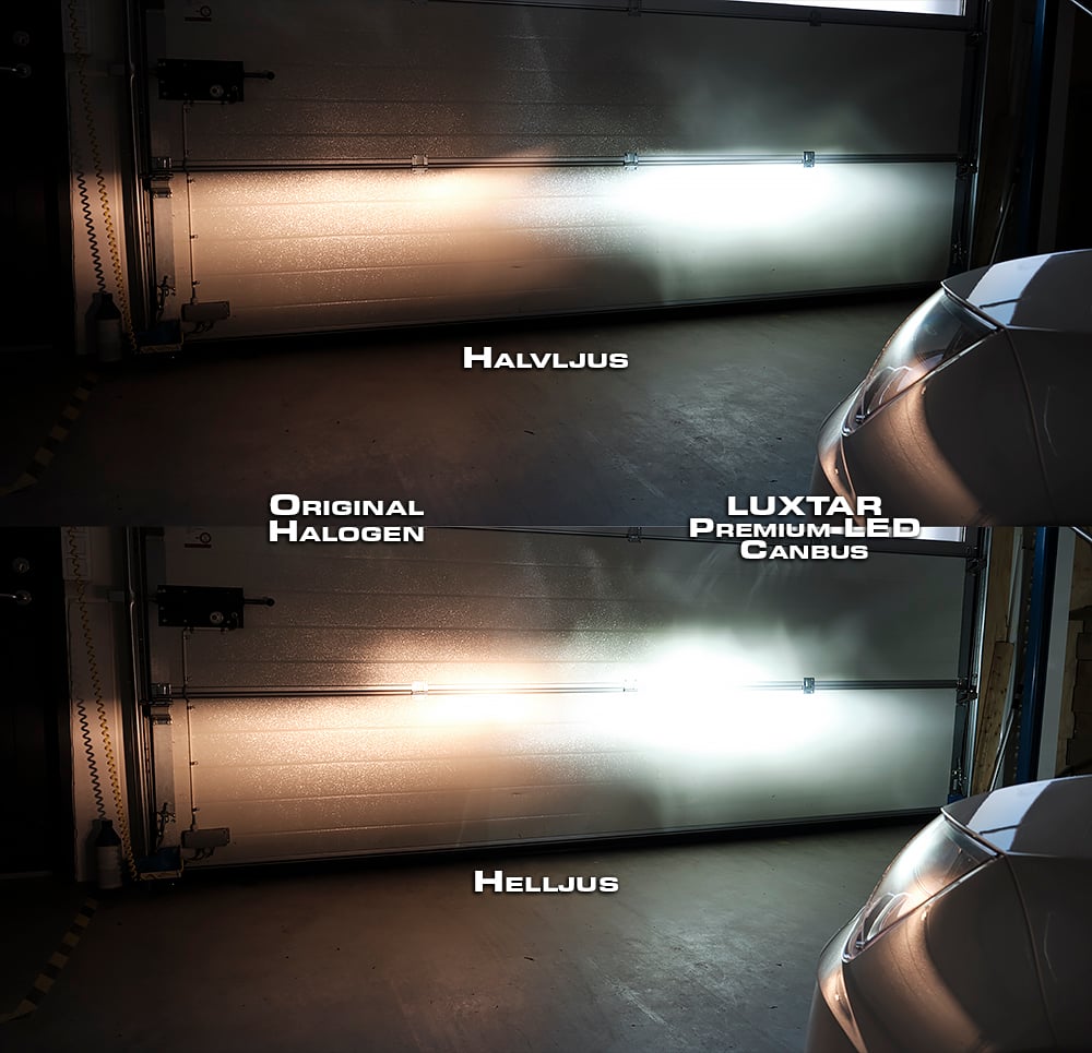 LUXTAR® Premium Canbus H7 LED