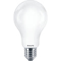 Philips - LED classic 120W A67 E27 CDL FR ND 1SRT4