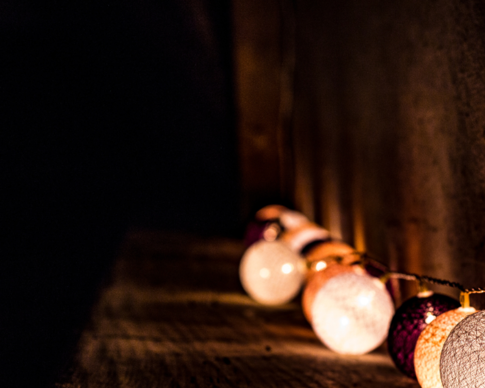 DE FAVORIETEN VAN DE KONING