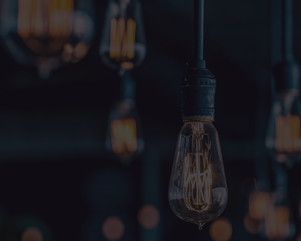 De meeste gekocht tijdens de uitverkoop